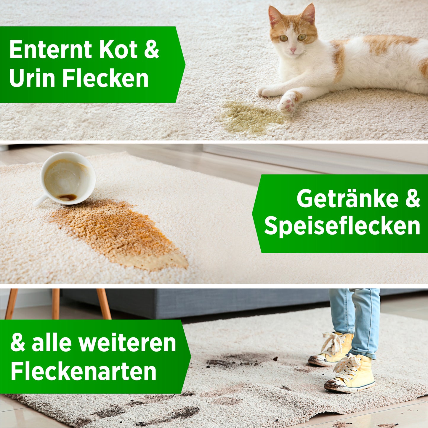 1x Teppichreiniger 580ml + 1x Polsterbürste