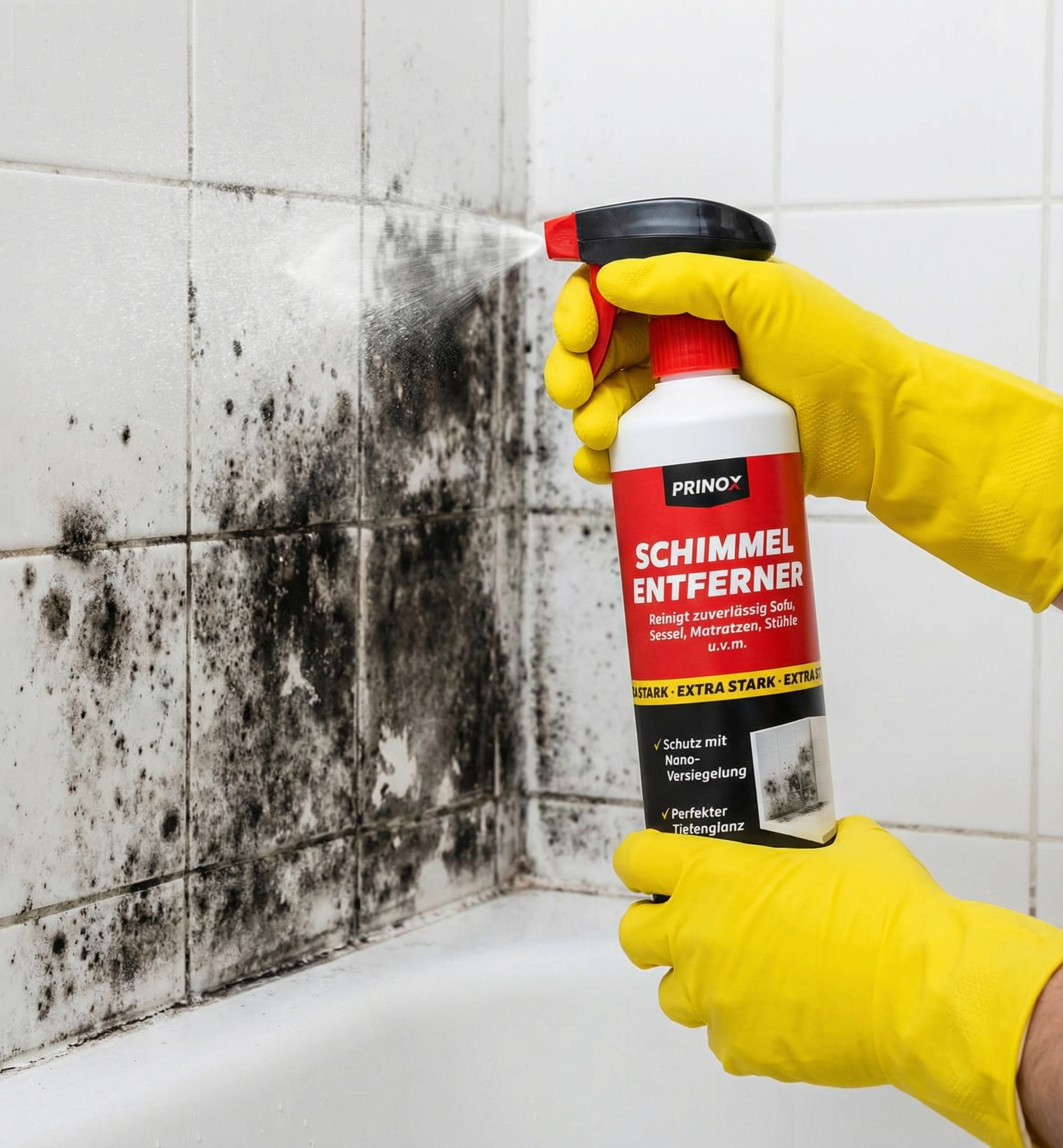 PRINOX Schimmelentferner